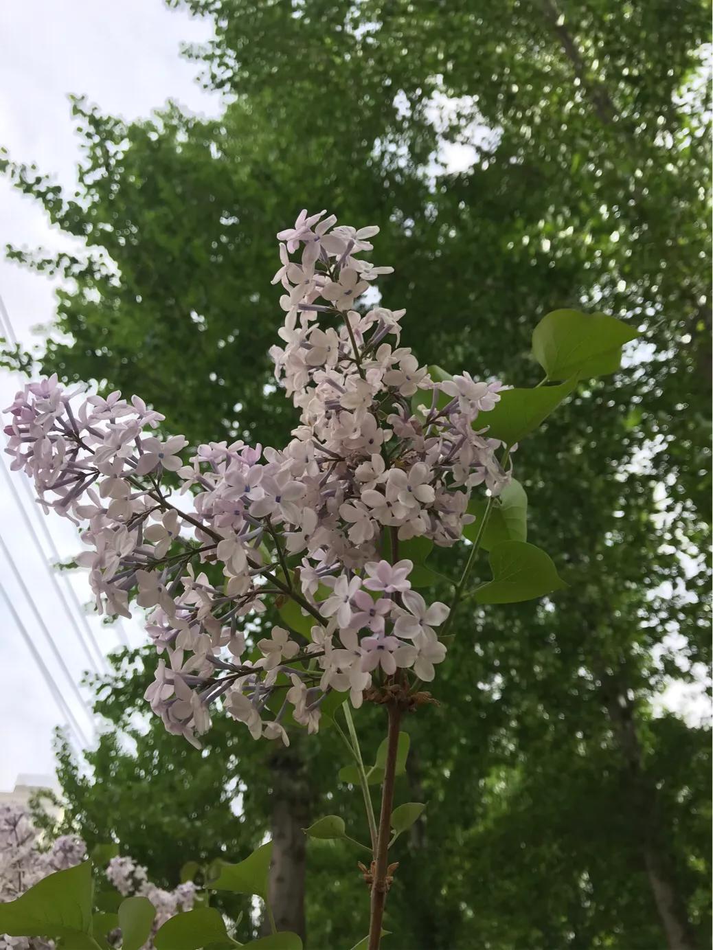 一生只爱你电视剧全集在线观看一