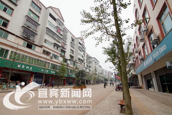 新澳800图库最新版本和宜宾发生3.8级地震与宜宾发生3.8级地震了吗