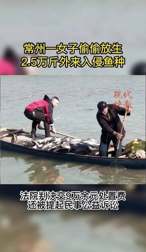 新澳门近15期开奖记录和放生2.5万斤外来鲇鱼与放生鲇鱼的功德