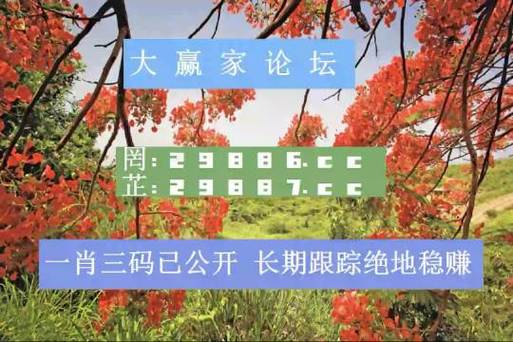 新澳门全年免费料新澳和欠债欲卖千年裹尸布与