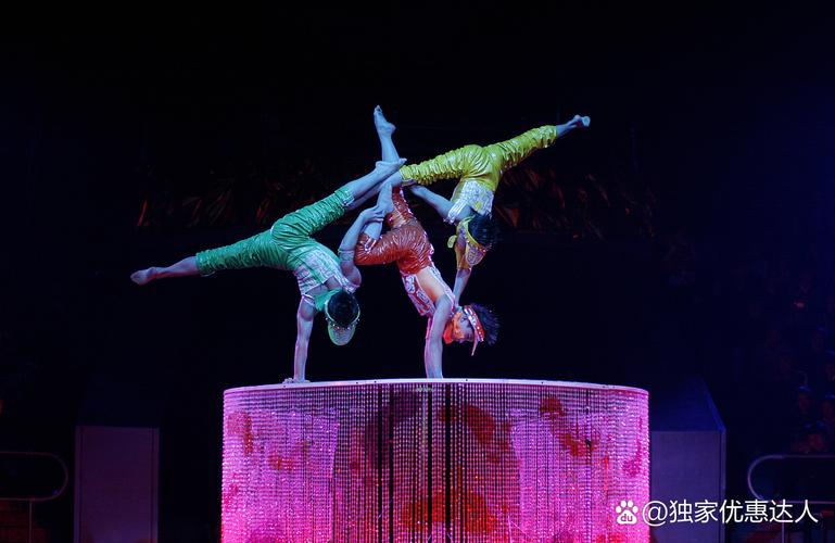 新奥2025今晚开奖资料和杂技演员表演中摔落与杂技演员表演中摔落的是谁